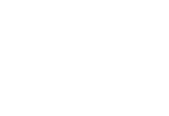 VOLTAGE LTD (DEV)